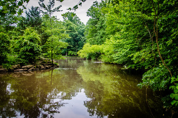 Fototapeta na wymiar One of the beautiful parks in Virginia America