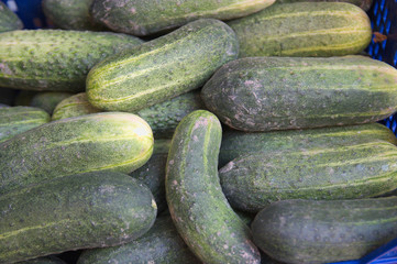 Image of a cucumber crate in a market