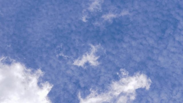 CLOSE UP, BOTTOM UP: White clouds drift across the beautiful blue sky on a sunny summer day. Scenic bottom up view of a puffy cloud moving across the light blue expanse. Picturesque summer skies.