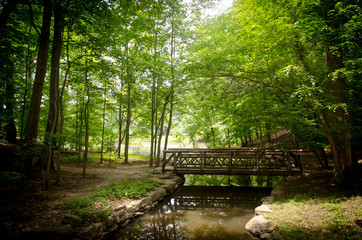 Park and wooden bridge Virginia America