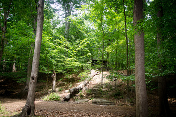 Winkler Botanical Preserve Park in Virginia, USA