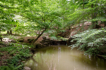 Fototapeta na wymiar Winkler Botanical Preserve Park in Virginia, USA