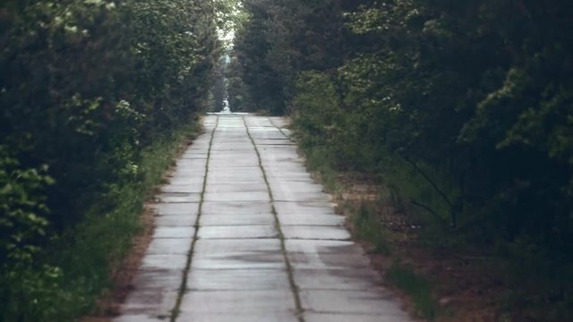 Beautiful lonely path through thick fir woods leading to Chernobyl power plant in exclusion zone. Driving away from Prypiat on a summer day with windy weather.