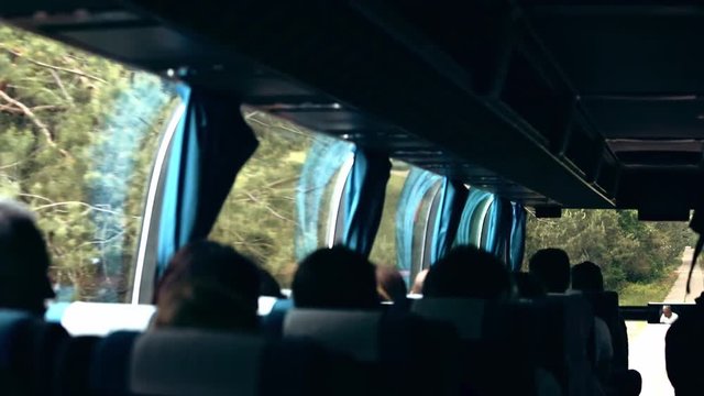 Roadtrip to Chernobyl power station and Prypiat on a torusit bus. Back view of happy tourists expecting something special driving in the travel bus through thick green woods on a summer day.