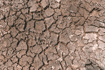 dry cracked earth
