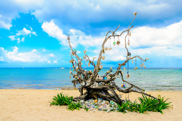 Beach Landscape with a Decorated Tree.