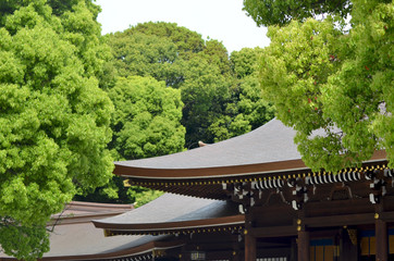 The classic curving roof of a Japanese temple, made of wood and grey tiles. trees covered in green leaves surround the temple.