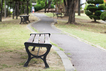 Wooden bench in the city park