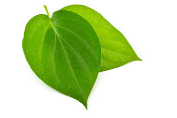 Two green leaf