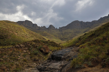 The face of an old and majestic giant