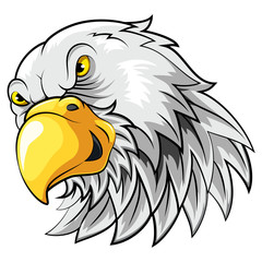 Mascot Head of an falcon