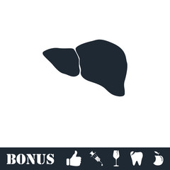 Liver icon flat