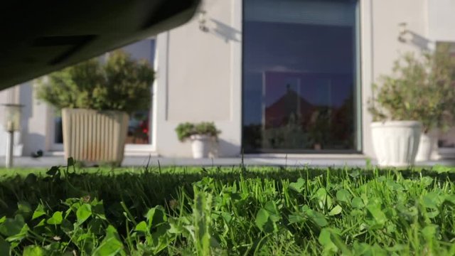 nice patch of clovers being chopped down by lawn mower passing by, still close-up