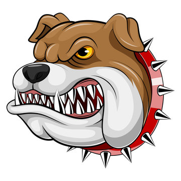 Mascot Head of an bulldog