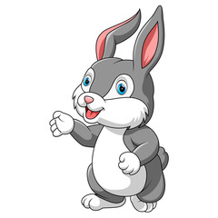 cute rabbit cartoon