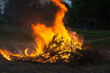 Summer wildfires burning in the Forest at rural area. Fire on the field in spring taken.