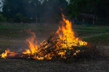 Summer wildfires burning in the Forest at rural area. Fire on the field in spring taken.