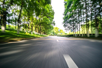 Obraz premium road in forest