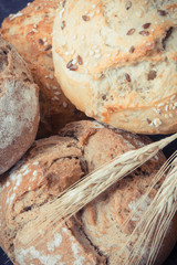 Fresh baked homemade rolls with seeds and ears of rye or wheat grain