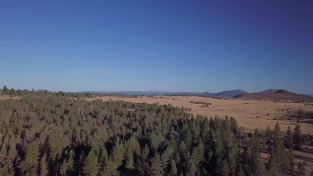 Drone flying towards Mt Shasta in Lassen County in California with pine trees and plain in fall