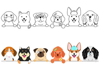 unhappy sick small dogs border