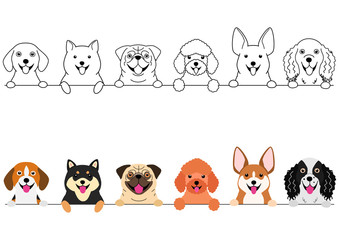 Obraz na płótnie Canvas smiling small dogs border set