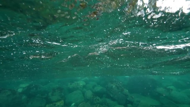 Camera Just Underwater, Surface Above and Below In View, Pine Trees, Vancouver Island, Canada