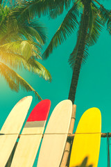 Many surfboards beside coconut trees at summer beach with sun light and blue sky background.