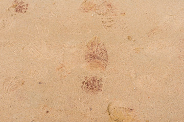 Texture, sand, it can be used as a background