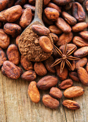 Raw cacao beans and cocoa powder