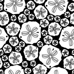 Black and White Sand Dollars