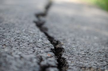Crack of her road asphalt