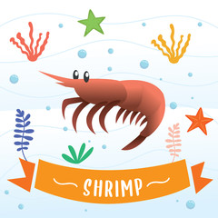 Shrimp cartoon character. Vector illustration of a cute shrimp. Vector illustration of sea animal