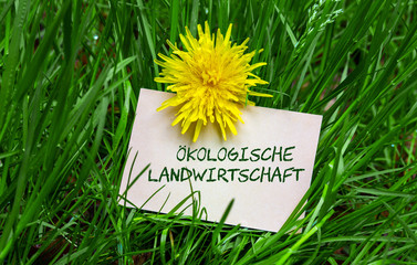 Ökologische Landwirtschaft