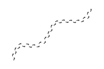 track footprints human shoes shoe sole funny feet footsteps paws people silhouette, route steps sign foot Walks Walking wallpaper banner poster footmark