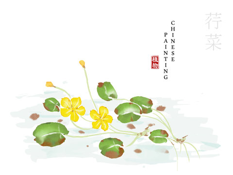 Watercolor Chinese ink paint art illustration nature plant from The Book of Songs Nymphoides peltatum. Translation for the Chinese word : Plant and Nymphoides peltatum