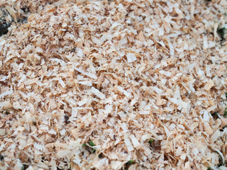 Wood sawdust background closeup. Sawdust floor texture. Top view. Sawdust texture, close-up background of brown sawdust