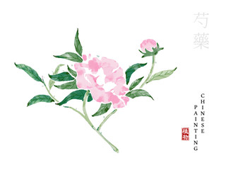 Watercolor Chinese ink paint art illustration nature plant from The Book of Songs peony. Translation for the Chinese word : Plant and peony