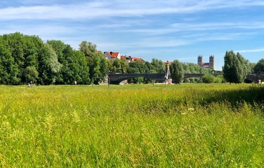 Blühende Wiese an der Isar in München