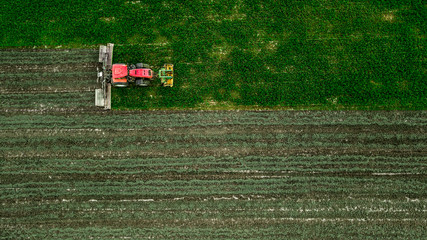 Fototapeta na wymiar a tractor mows a field of aerial photography with drone