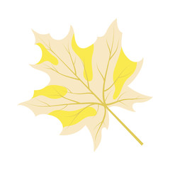 Naklejka na ściany i meble Autumn Maple Leaf