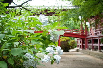This photo is a Japanese garden in Mito City