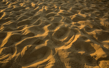 desert, beach, a lot of pitted sand
