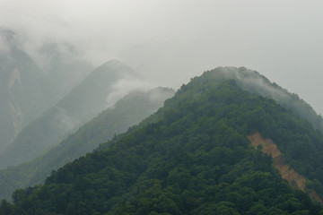 Mountain in the mist