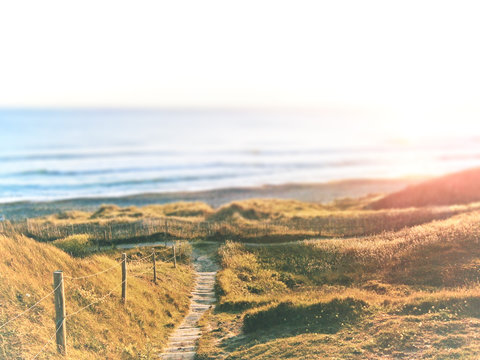 Chemin vers la plage de la Palue &agrave; Crozon - Bretagne