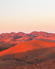 sunset in the desert - 275399610