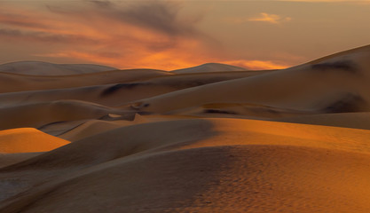 Fototapeta na wymiar Beautiful sand dunes Landscape at Sunrise in the Namib desert. 