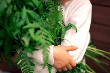 Armful of fern in the hands of a child ecology adventure, nature conservation