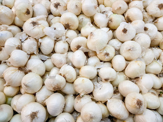 onion in supermarket shop