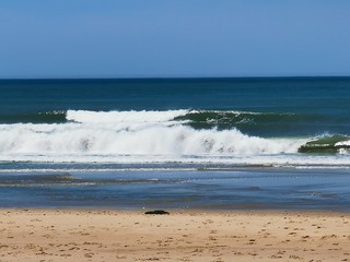 fracne atlantic coast beach summer